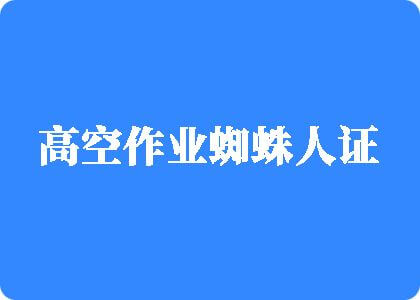 鸡插逼逼的免费视频高空作业蜘蛛人证